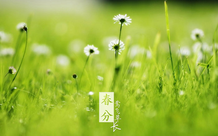 即就是东风十里，依然不如你