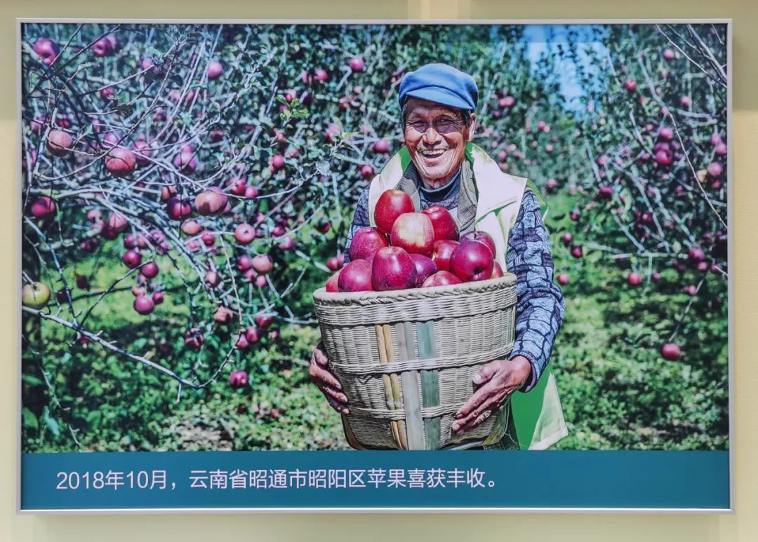 		优德88集团干部职工旅行“奋进新时代”主题成绩展丨29项建材元素突出立异与责任_责任撒播_优德88集团有限公司	