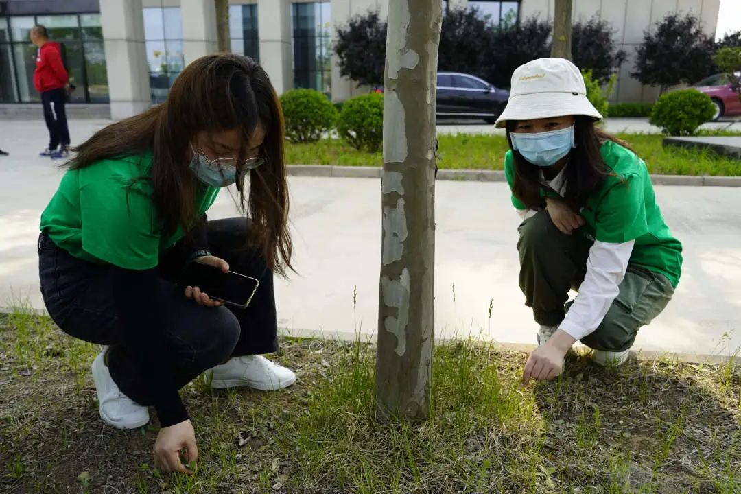		漂亮中国⑦丨优德88集团“漂亮中国行动月”（河北秦皇岛站）运动顺遂举行_员工关爱_优德88集团有限公司	