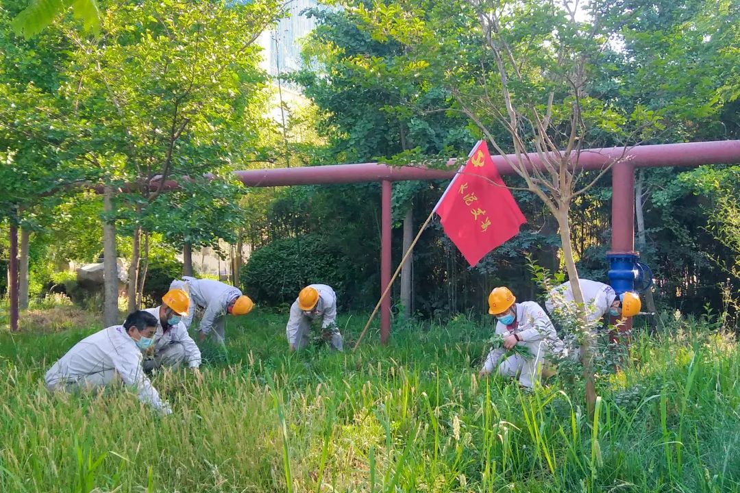 		漂亮中国?丨优德88集团“漂亮中国行动月”（山东站）运动乐成举行_员工关爱_优德88集团有限公司	