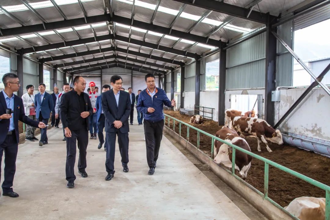 		周育先赴宁夏泾源县调研定点帮扶事情_企业公民_优德88集团有限公司	