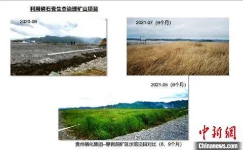 		权威机构治理绿色建材认证 优先进入政府修建工程采购系统_行业聚焦_优德88集团有限公司	