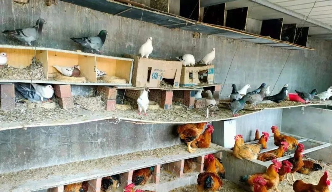 		办实事 暖人心 | 宁夏建材：专心用情解决好员工用餐问题_办实事暖人心_优德88集团有限公司	