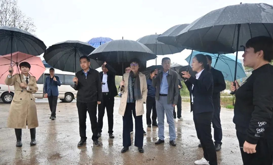 		孙力实赴宁夏回族自治区固原市泾源县调研墟落振兴事情_企业公民_优德88集团有限公司	