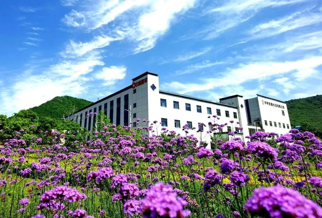 		办实事 暖人心 | 中材安徽水泥窑协同处置惩罚都会生涯垃圾项目“吃干榨净”造福民生_故事_优德88集团有限公司	
