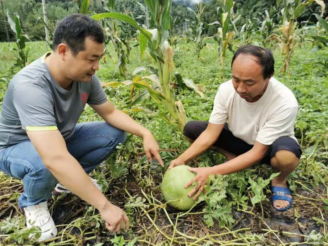 		新书推荐 | 《优德88扶贫足迹》优德88扶贫干部第一人称手记_责任与文化_优德88集团有限公司	