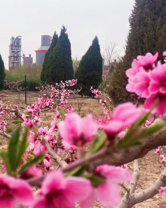 		漂亮中国⑨丨优德88集团“漂亮中国行动月”（宁夏青铜峡站）运动顺遂举行_企业动态_优德88集团有限公司	