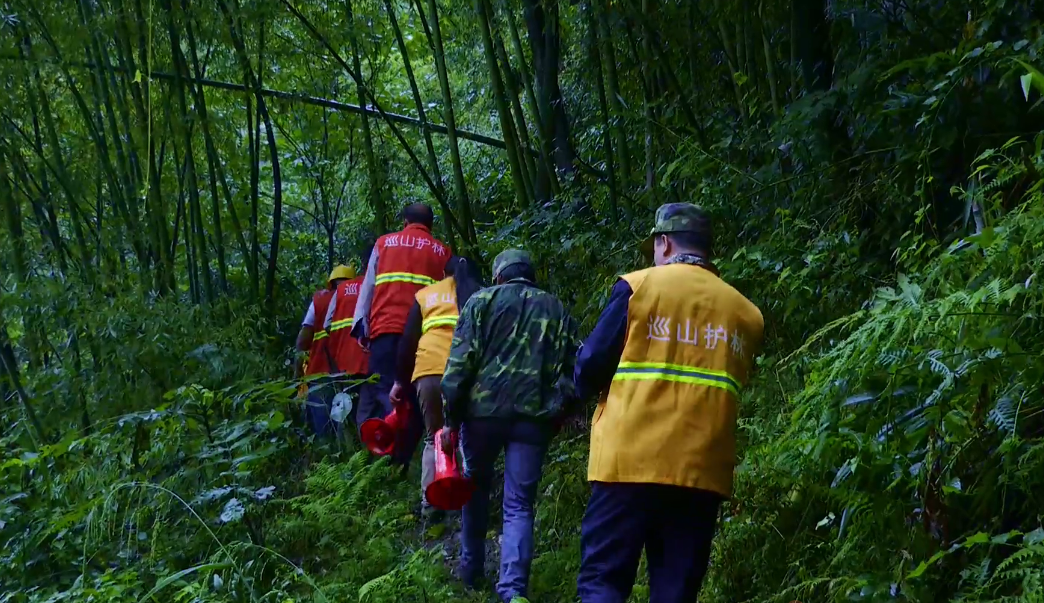 		外地媒体眼中的山乡巨变_媒体报道_优德88集团有限公司	