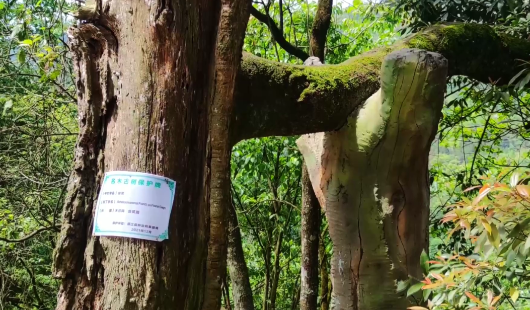 		外地媒体眼中的山乡巨变_媒体报道_优德88集团有限公司	