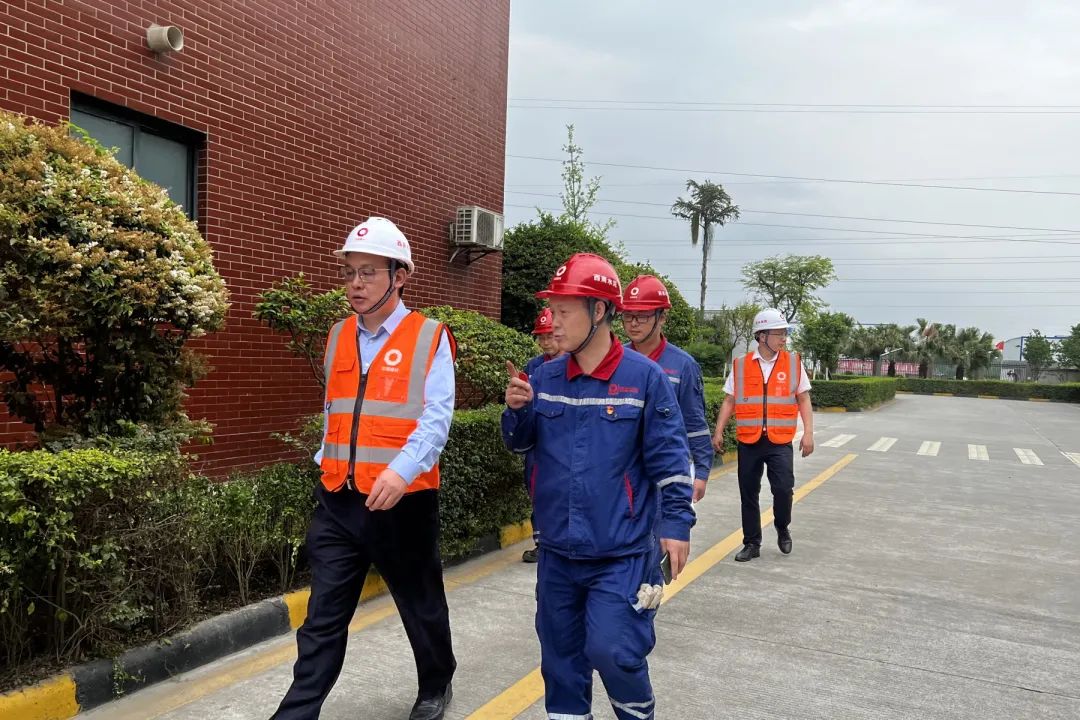 		决战四序度│西南水泥：“党建向导员制”的刷新立异之路_企业动态_优德88集团有限公司	