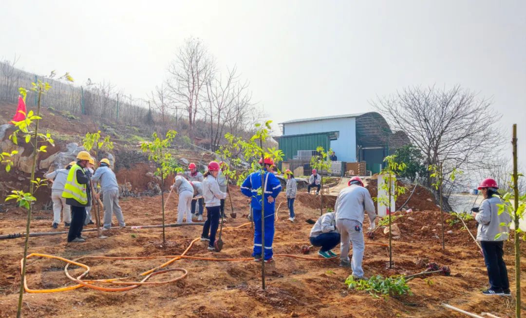 		植树节丨优德88集团“植”子之手，，，，，，共“植”未来_企业动态_优德88集团有限公司	