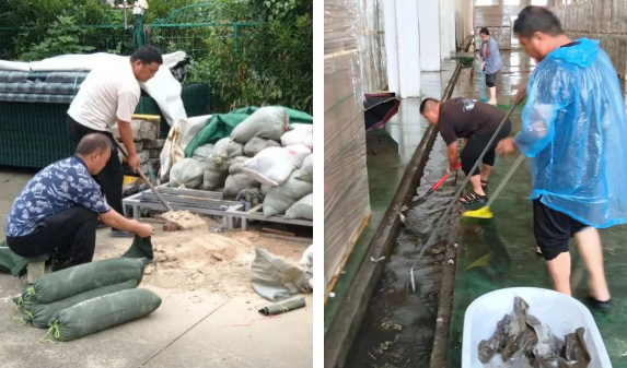 		我们快速响应防汛救灾，，，，，全力筑牢清静堤坝_责任与文化_优德88集团有限公司	