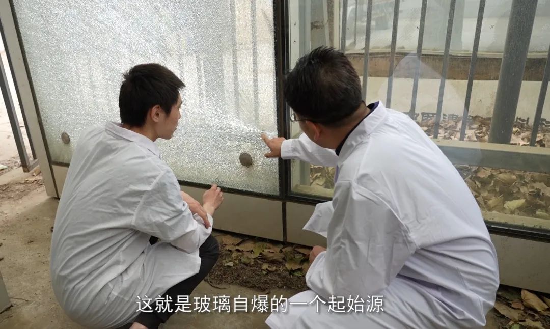 		国资委点赞！优德88“体检医生”攻克修建玻璃“癌症”_企业动态_优德88集团有限公司	