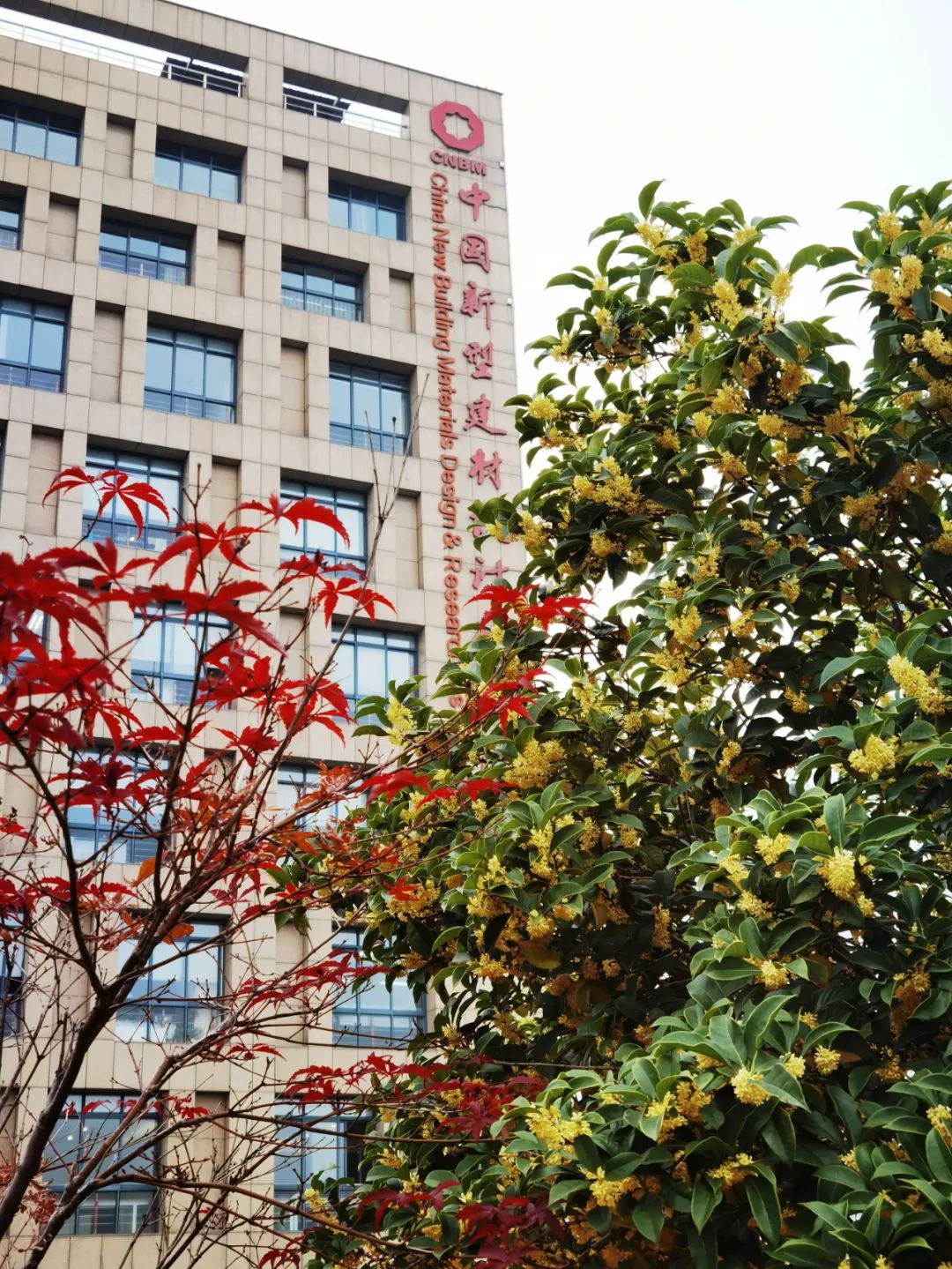 		优德88 | 畅游诗情画意之优德88总院_责任与文化_优德88集团有限公司	