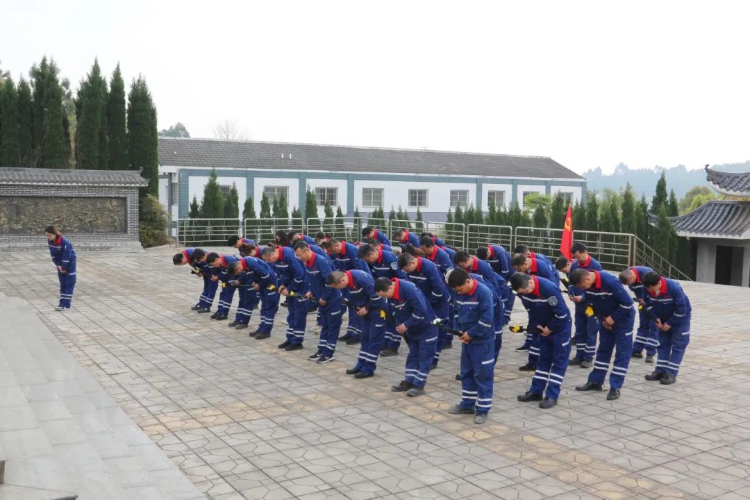 		清明 | 优德88集团所属企业开展祭扫运动_责任与文化_优德88集团有限公司	