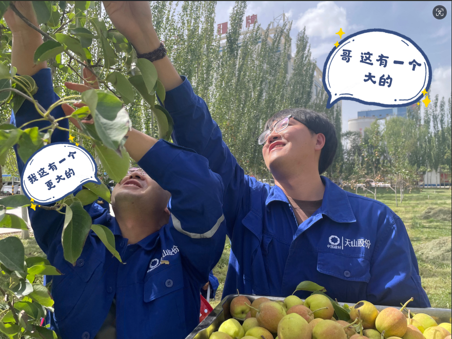 		 大丰收！来新疆天山水泥厂开心农场尝尝“秋”的味道~ _责任与文化_优德88集团有限公司	
