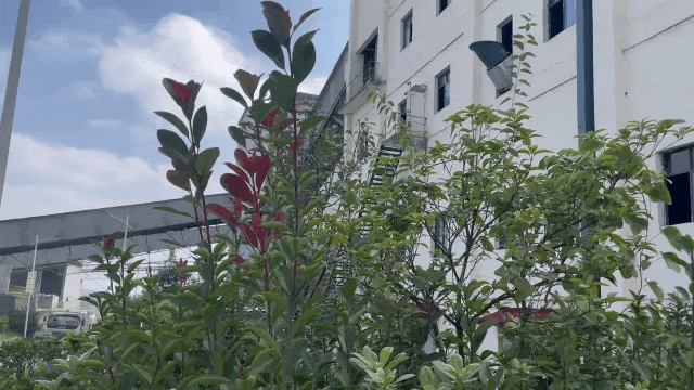 		 水泥厂live秀｜你斗争的样子，，，，，动～起～来～啦～ _企业动态_优德88集团有限公司	