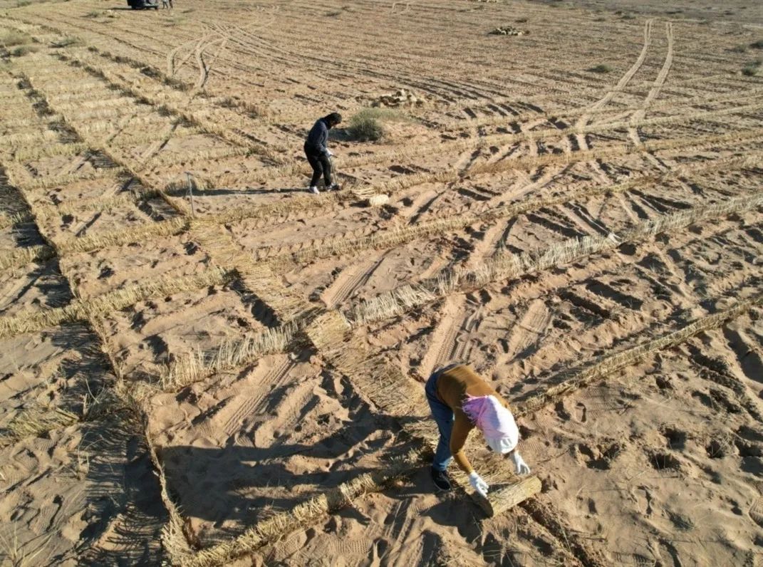		9.5万亩沙漠变绿洲！地勘院让三北大地重现生气～_企业动态_优德88集团有限公司	